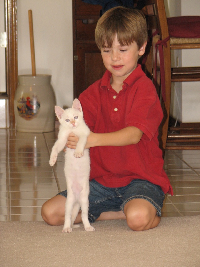 20100206 456.JPG